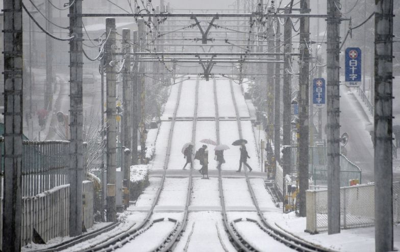 Atak zimy w Japonii. Śnieżyce sparaliżowały kraj