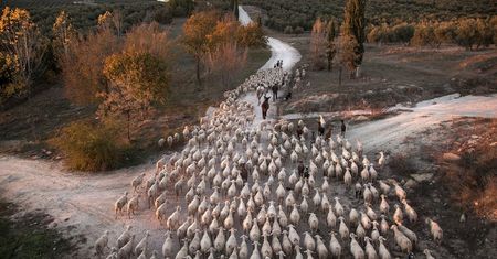 Zobaczcie najlepsze zdjęcia zgłoszone w konkursie Environmental Photographer of the Year 2016