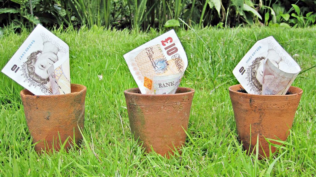 Co się wspiera? #1 1