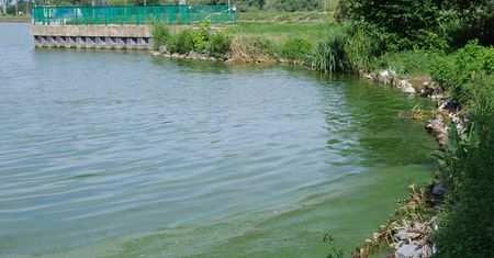 Woda w rzece Bystrzyca i Zalewie Zemborzyckim jest zielona. Mieszkańcy zaniepokojeni