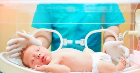 Analiza mózgu wcześniaków może przewidzieć trudności w późniejszym rozwoju