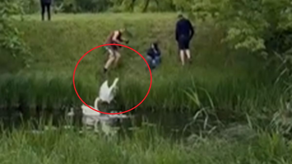 Zdjęcie z Warszawy. Bulwersujące zachowanie.