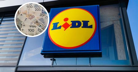 Szukają do pracy w Lidlu. Nawet 8 tys. miesięcznie