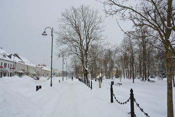 Pogoda w Suwałkach. Prognoza na środę 11 lutego. Mgły, pełne zachmurzenie i lekki śnieg