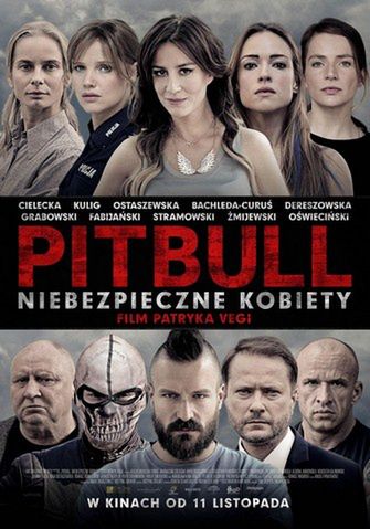 „Pitbull. Niebezpieczne kobiety” w Ostrowcu Świętokrzyskim. Bilety warto kupić dużo wcześniej