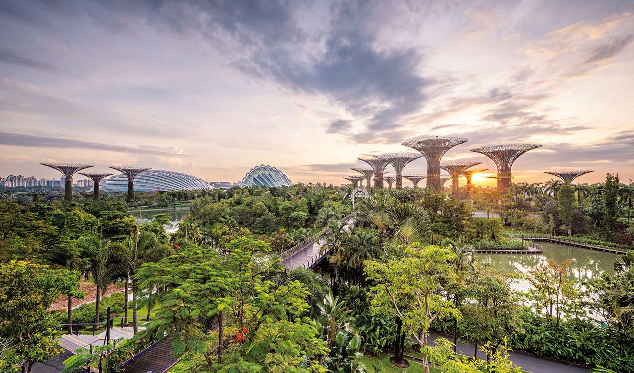 Singapur – nowoczesny i zielony naraz. Państwo pamięta o przyrodzie