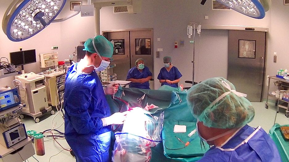 Dolnośląski Szpital Specjalistyczny 