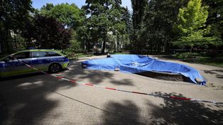Lublin: Fontanny na Wallenroda pilnuje policja. Co zabiło ptaki?