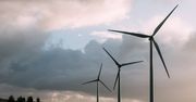 Atom czy wiatraki? Polska ma pomysł na energetykę