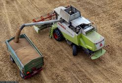 Ukraińskie zboże w Polsce. Emilewicz wskazała winnego