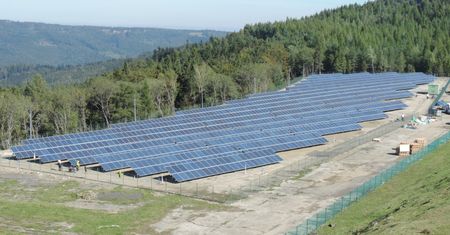 PGE otwiera się na energię odnawialną. Szykuje nową ofertę