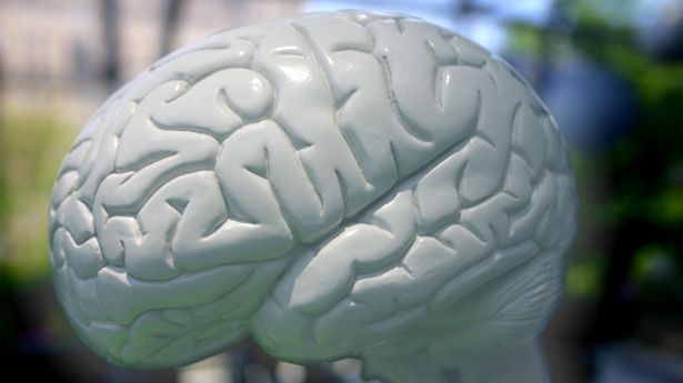 Tydzień Mózgu: ciekawostki dotyczące działania naszego mózgu 1