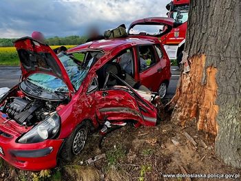 Mandat niczego go nie nauczył. Chwilę po kontroli uderzył w drzewo