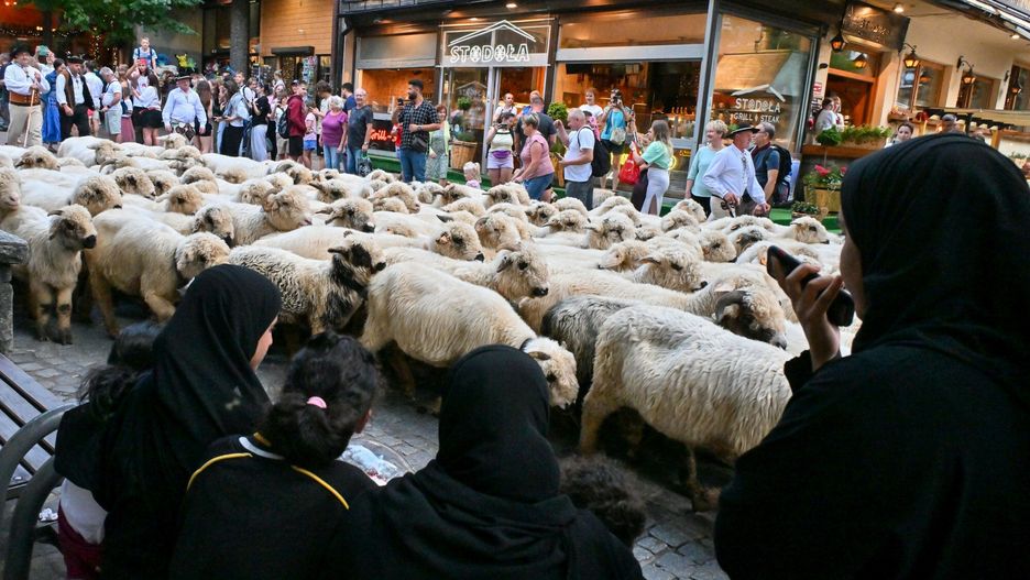 Arabscy turyści pokochali Zakopane