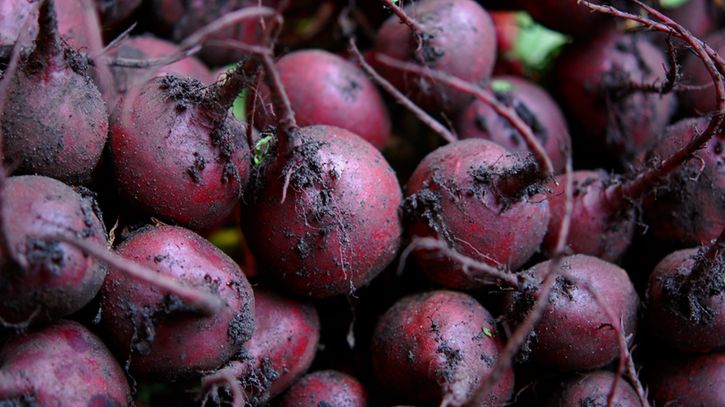 Burak chroni przed chorobami i wspomaga serce