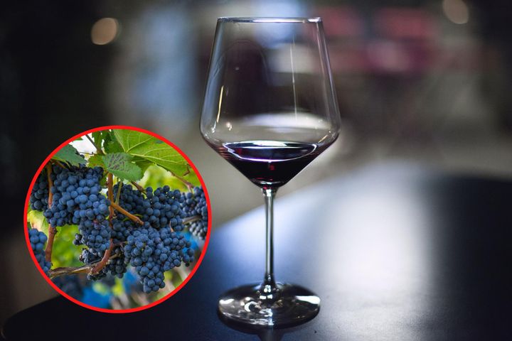Wino zawiera cenne dla diabetyka związki fenolowe