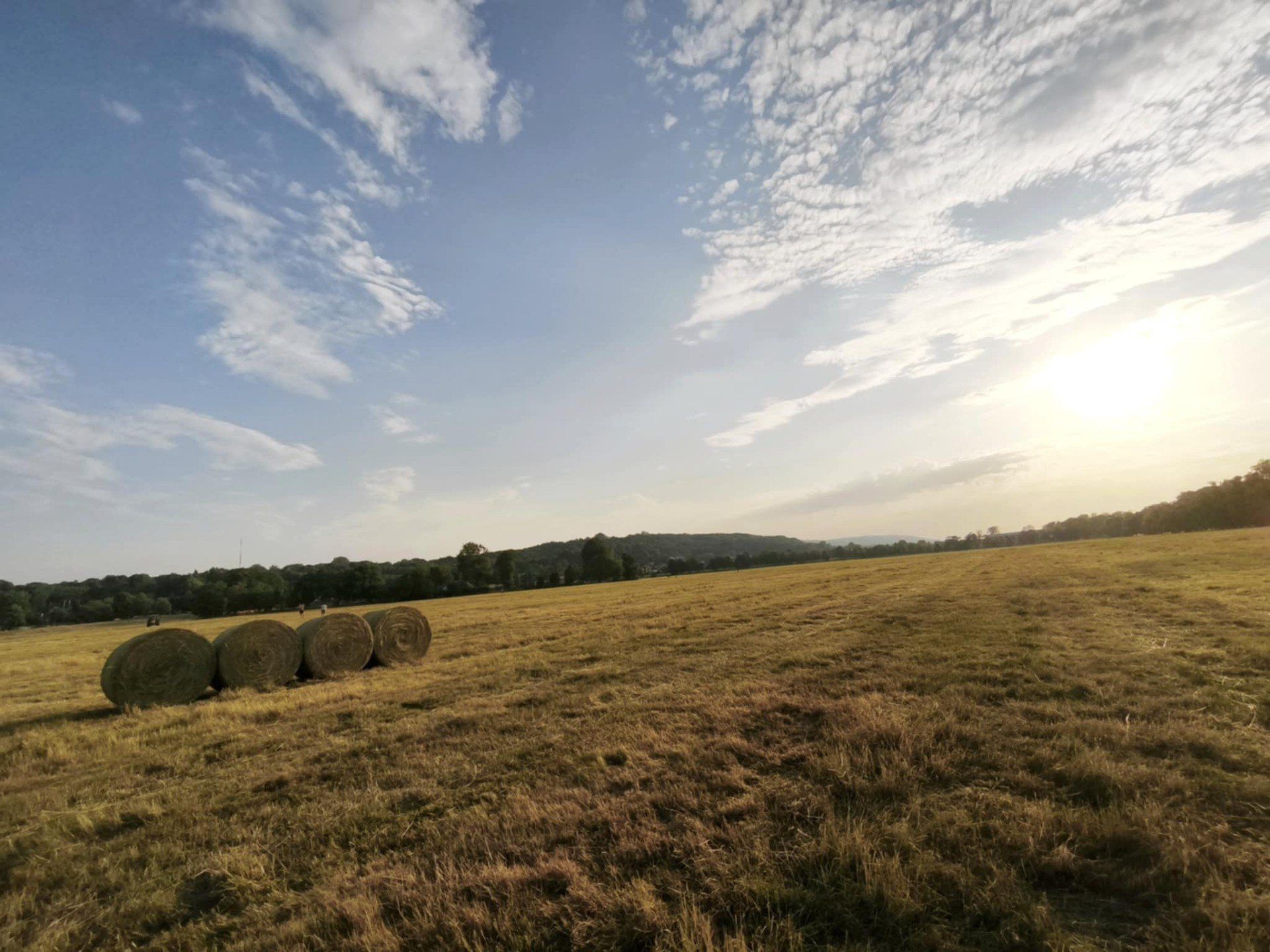 Krakowskie Błonia koszone są przez rolników, którzy zawarli z Zarządem Zieleni Miejskiej tzw. umowę bezkosztową. To oznacza, że po wykonaniu swojej pracy mogą zabrać skoszone siano i wykorzystać do własnych celów.