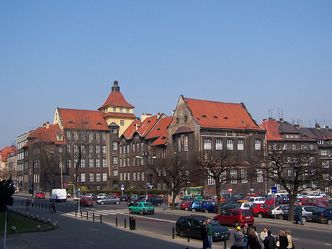 Polscy naukowcy wyhodowali nową odmianę zboża?