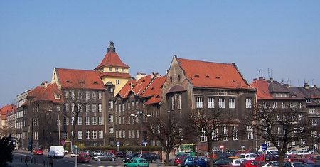 Polscy naukowcy wyhodowali nową odmianę zboża?