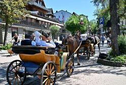 Makabryczna przesyłka w Zakopanem. W środku wiadomość i cztery słowa