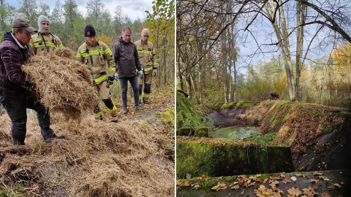 Akcja ratunkowa w Wilczym Szańcu.