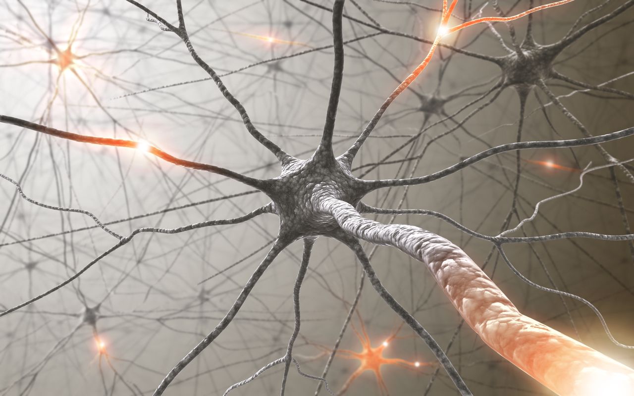 Neurons and the nervous system in the brain. Photo: KTS Design, Adobe Stock