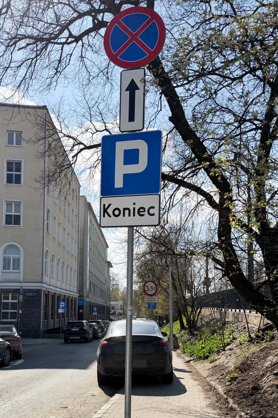 Doda zaparkowała na zakazie