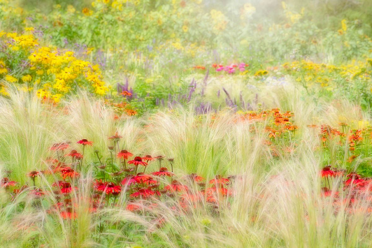 Najlepsze zdjęcia przyrody w konkursie International Garden Photographer of the Year 2