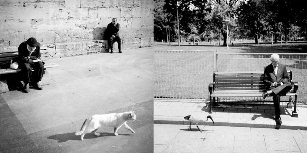 Fotograficzny dialog między Sydney i Stambułem 6