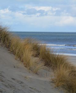 Skandal z udziałem Polaków. Nieobyczajne zachowanie na holenderskiej plaży