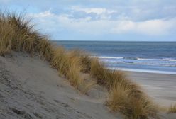Skandal z udziałem Polaków. Nieobyczajne zachowanie na holenderskiej plaży