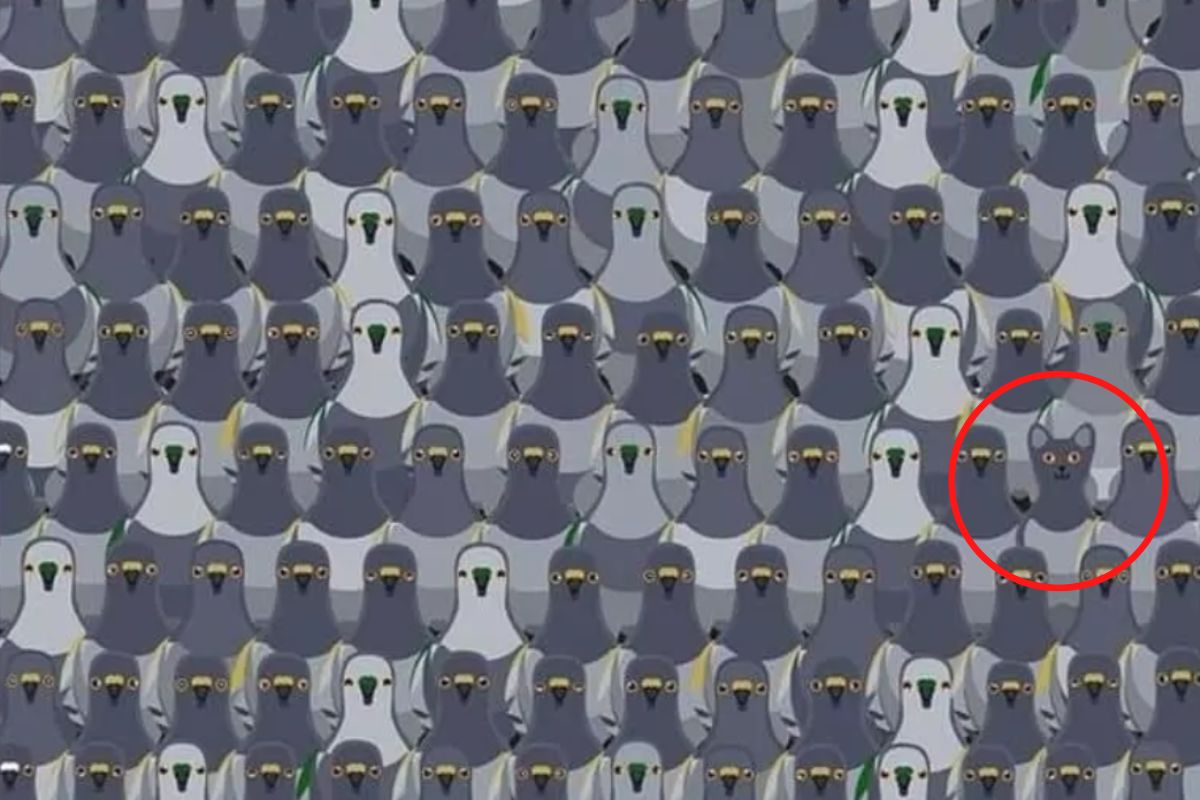 Kot znajduje się po prawej stronie