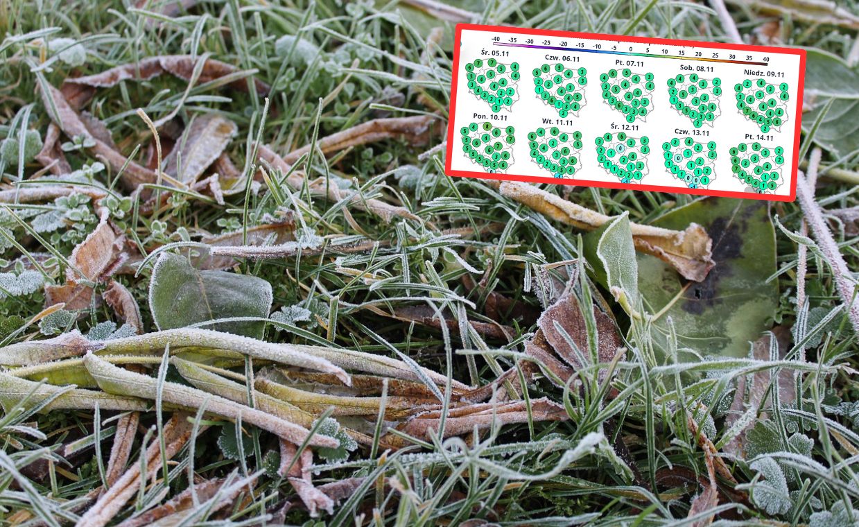 Viandelde przyniesie przymrozki. To czeka nas w najbliższych dniach