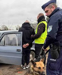 Skradziono "malucha". W ujęciu sprawcy pomogli internauci