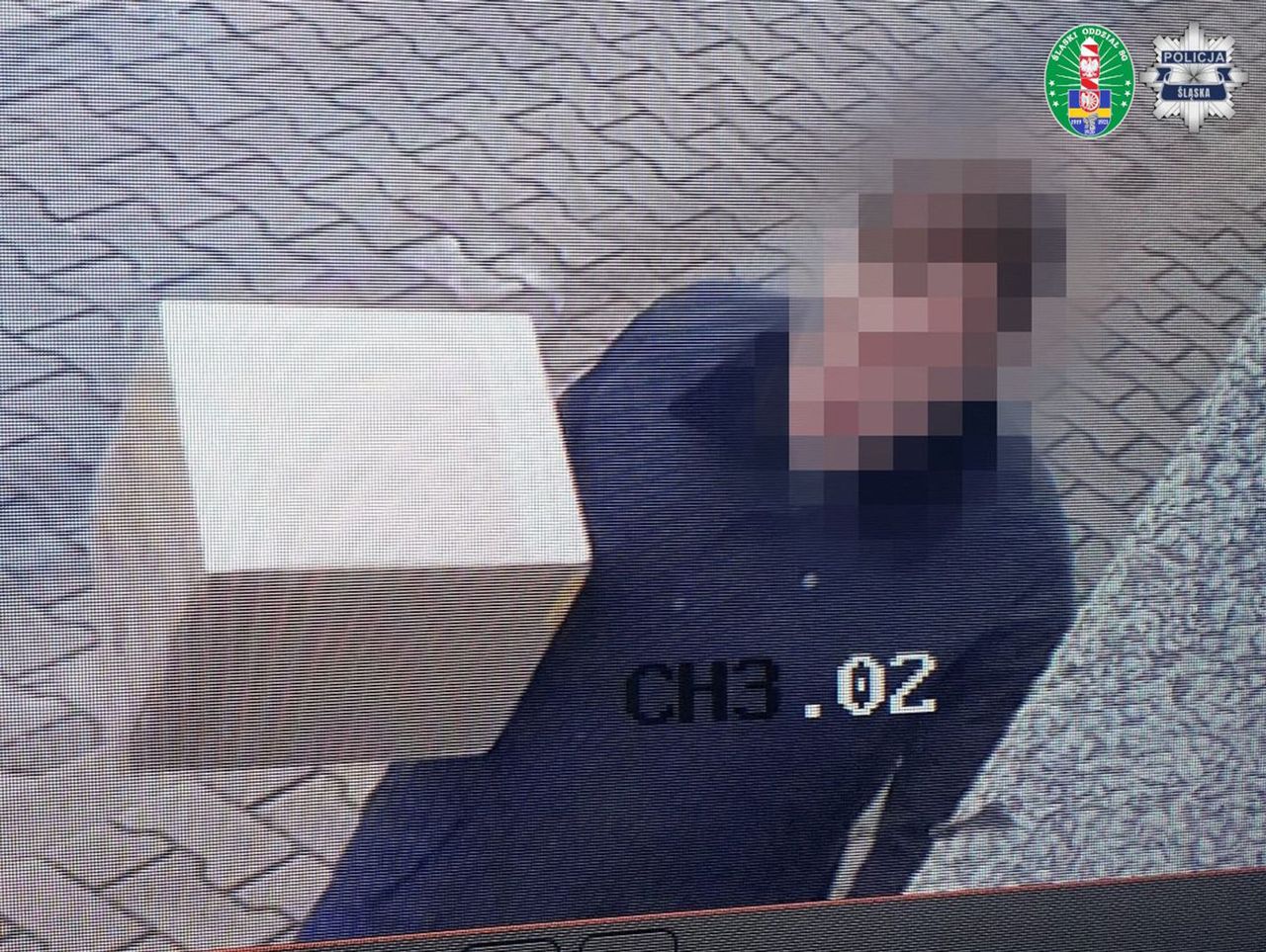 Przemycili 120 kg marihuany z USA do Polski. Zatrzymano dziewięć osób