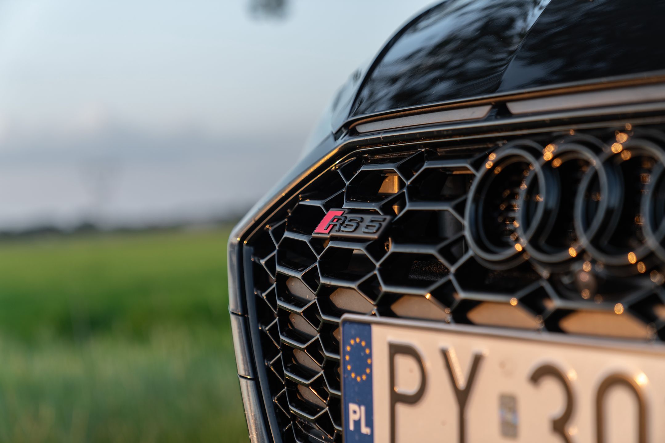 Audi RS 5 Sportback Competition plus