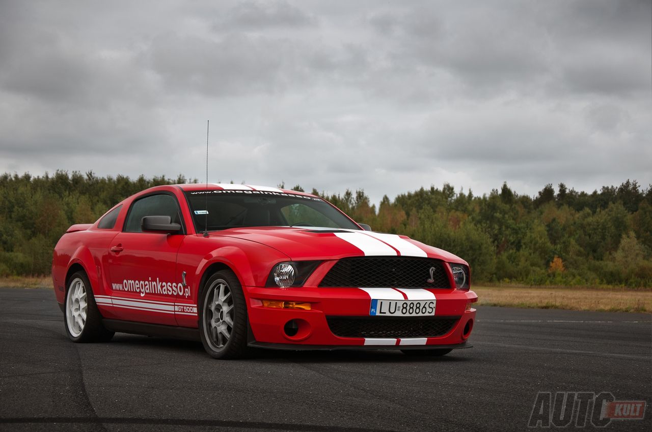 Shelby GT500 (fot. Mariusz Zmysłowski)