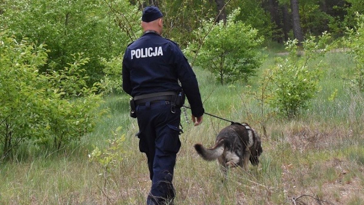 Zdjęcie ilustracyjne.