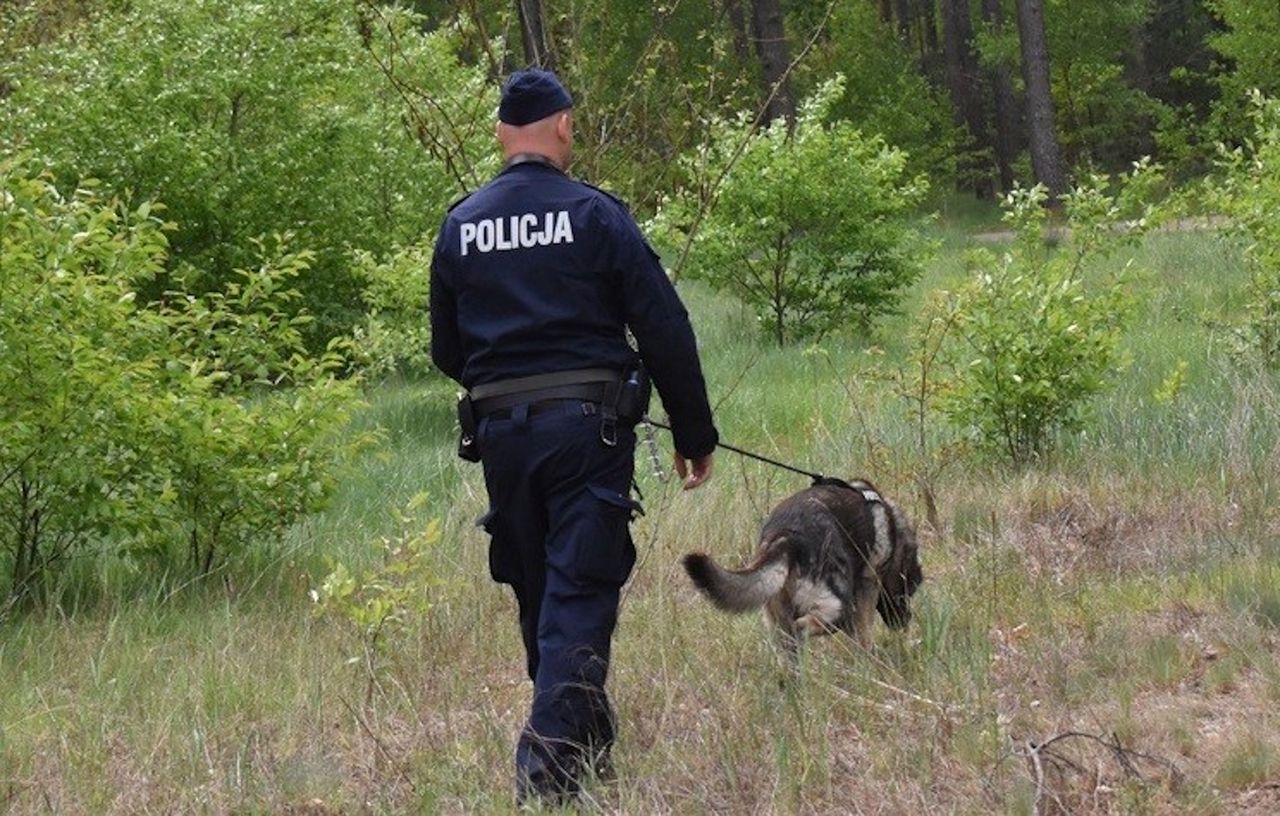 Zgwałcił 13-latkę w parku. W Rzeszowie zapadł prawomocny wyrok