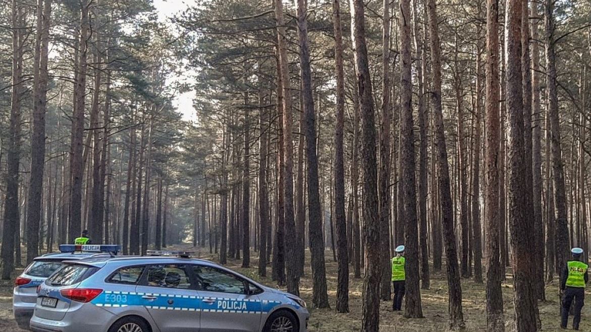 Ciało znaleziono w lesie. Zdj. ilustracyjne 