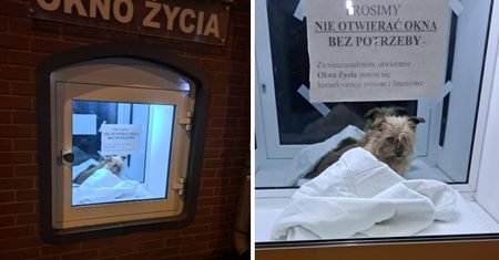 Siostry zakonne były w szoku. Znalazły go w oknie życia