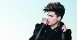 Adam Lambert chce być kochankiem Freddiego Mercury'ego