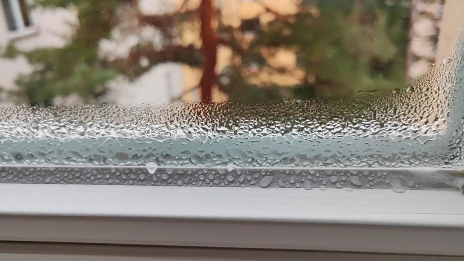 Ustaw na parapecie, by pozbyć się wilgoci. Okna przestaną parować i nie pojawi się pleśń