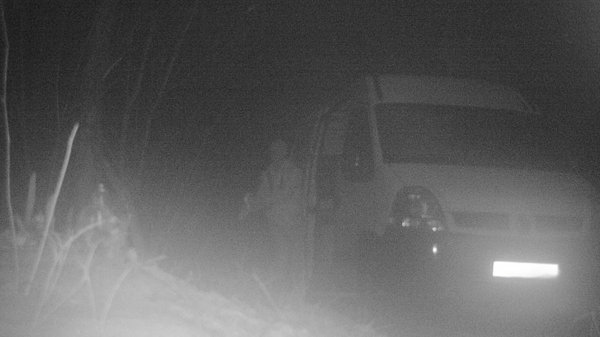 Wpadł w sidła leśników.