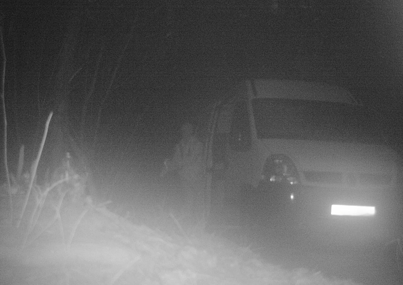 Biały bus w lesie. Wpadł w ich sidła. "Kara? Bezlitosna"