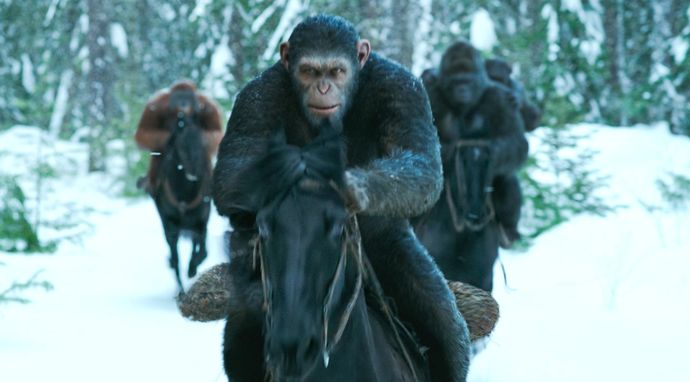 Wojna o planetę małp