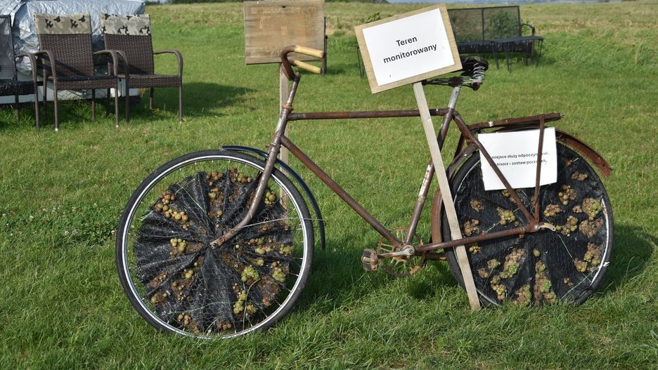 Zabytkowy rower na działce Agaty i Jana Szymkiewiczów to jedna z osobliwości proszowickiego odcinka EuroVelo 11