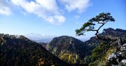 Urokliwa Szczawnica - Zabytkowe miejsca, które warto odwiedzić