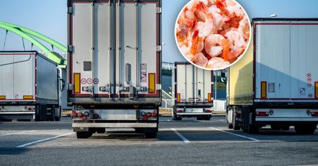 Transport z Indii zatrzymany. To miało trafić do sprzedaży w Polsce