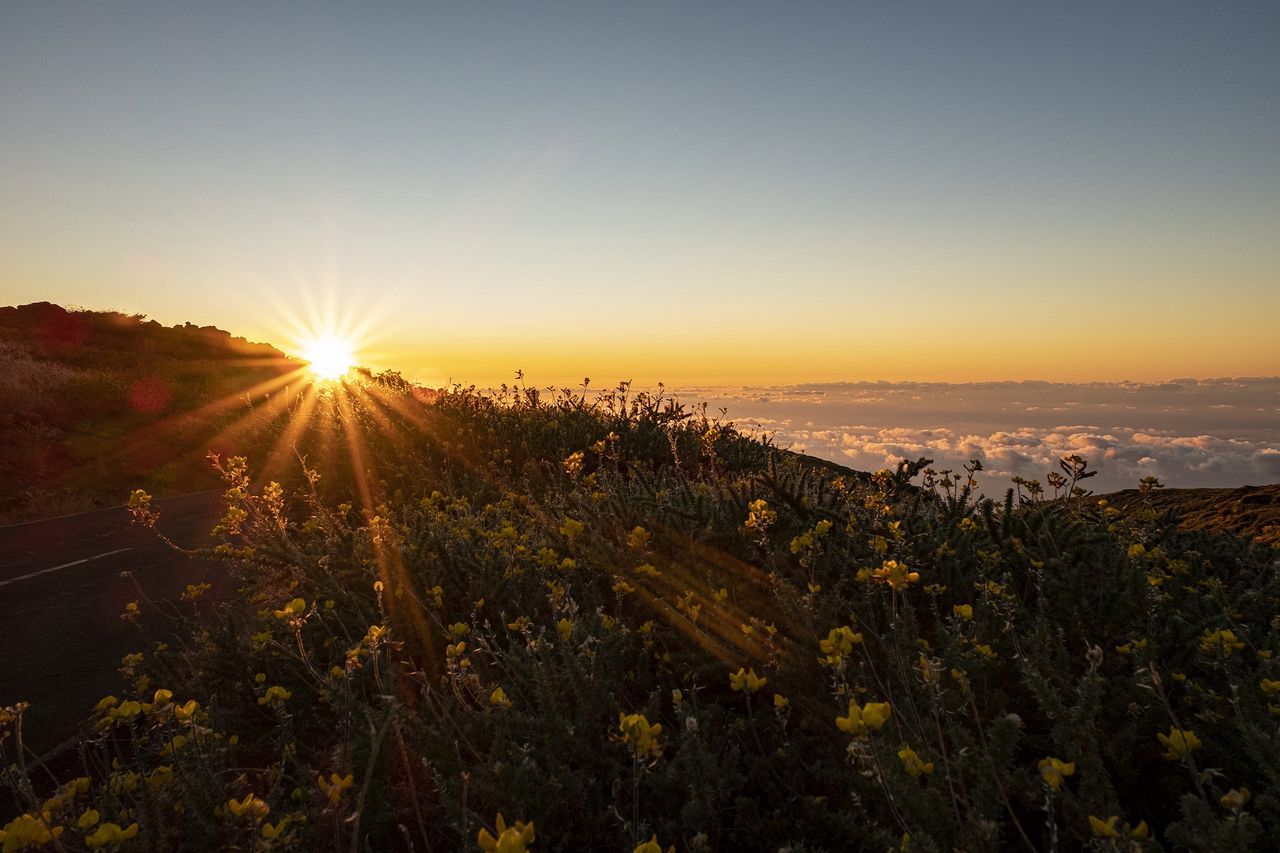 La Palma – dlaczego warto odwiedzić Wyspy Kanaryjskie?